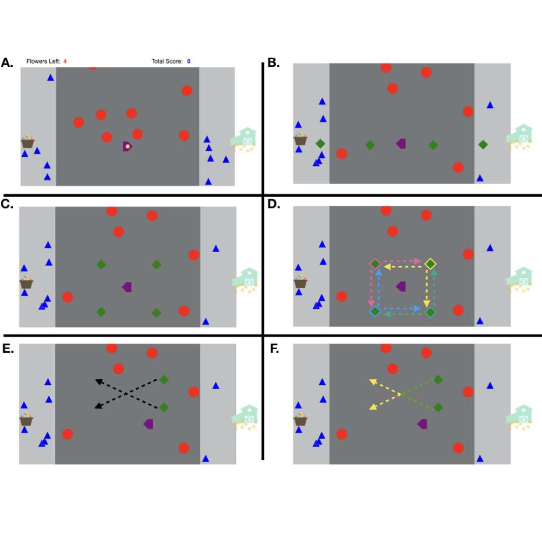 The spatial allocation of attention in an interactive environment